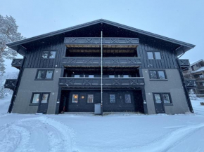 Spacious apartment near Hemsedal ski resort